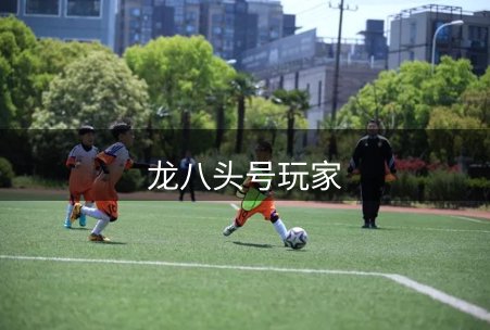 龙八头号玩家品牌故事